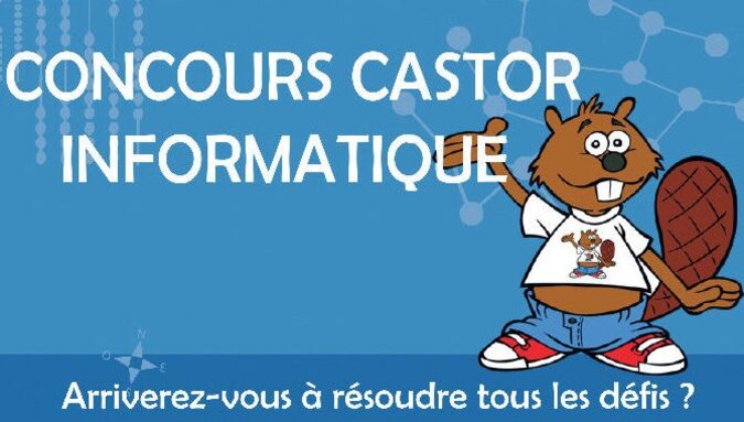 castor.jpg